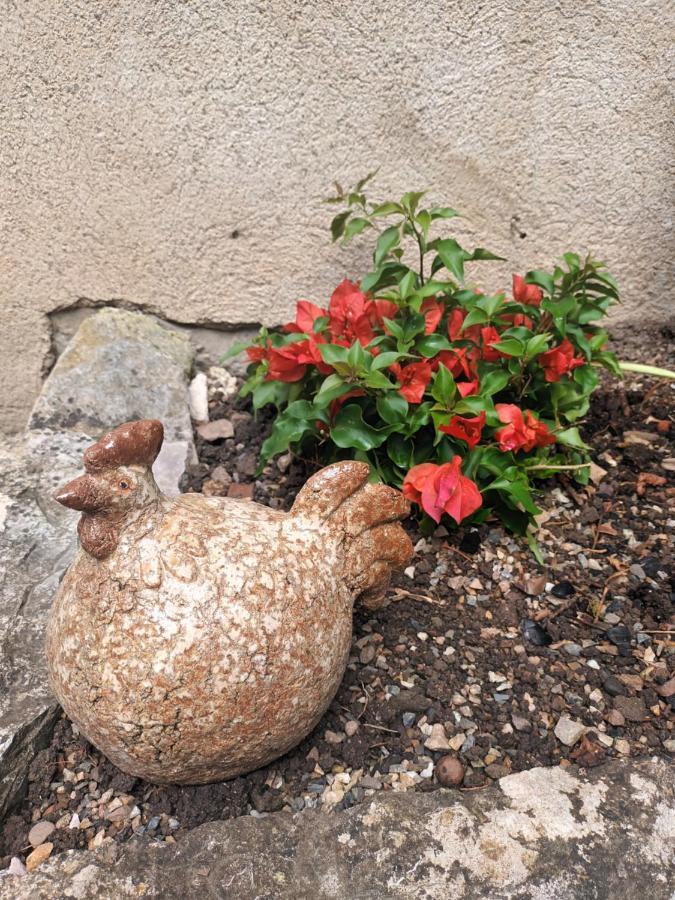 Le Jardin Secret Bed & Breakfast Saint-Antonin-Noble-Val Luaran gambar